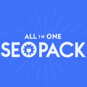 All in One SEO Logo